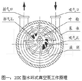 高效叔胺催化劑，易于與多元醇均勻混合，催化效果穩(wěn)定可靠